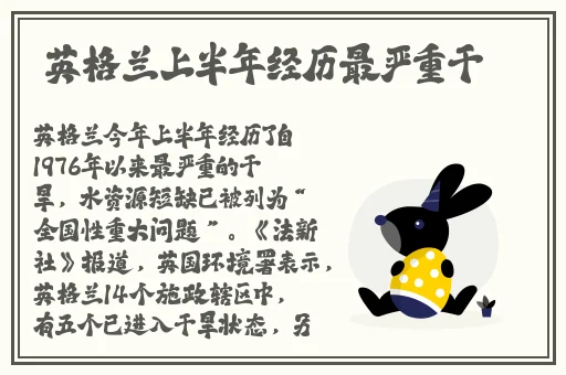麻花豆传猫爪影像2024